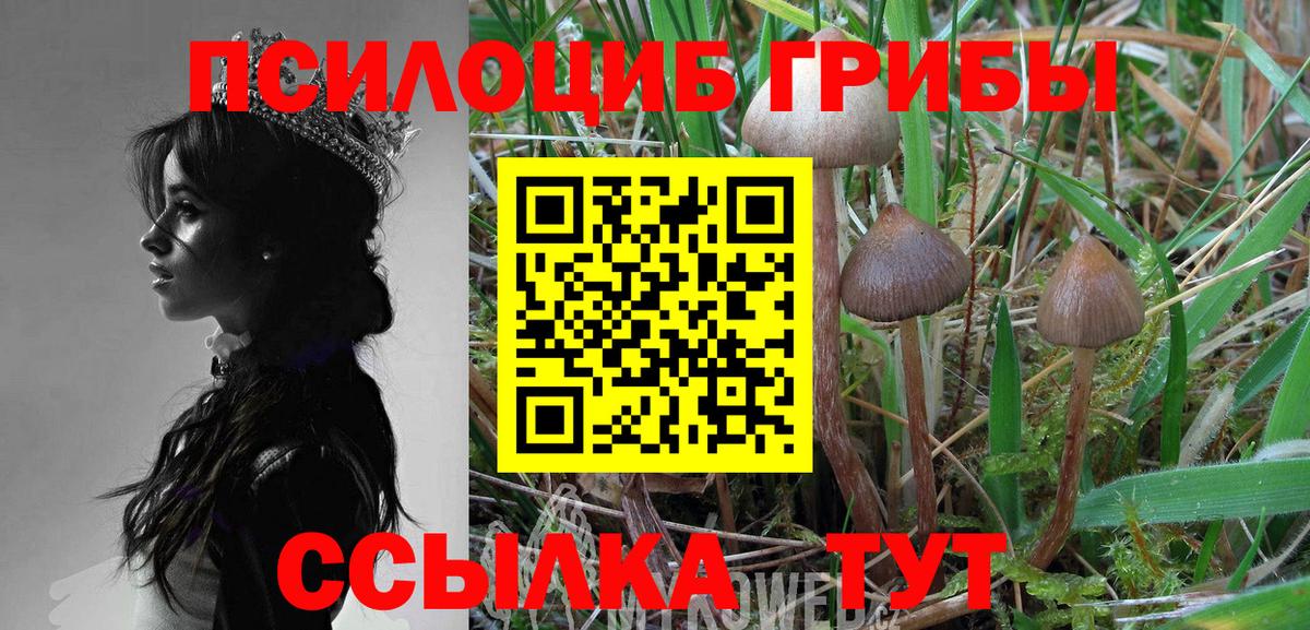 Галлюциногенные грибы Cubensis Ялта